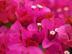 -文华公园(禅城区)