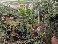 -正佳雨林生态植物园
