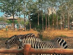 -大连森林动物园