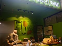 -油梨树AVOCADO TREE(顺义新国展店)