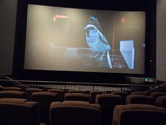 -中影国际影城(东方新天地CINITY店)