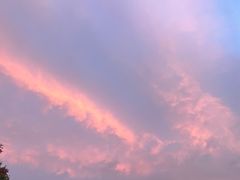 -萧邦音乐会所KTV·蒸汽活海鲜自助(福田店)