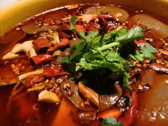 -红辣椒·川菜·火锅(科华路店)