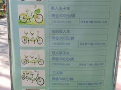 -合肥滨湖国家森林公园