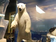 -国家自然博物馆