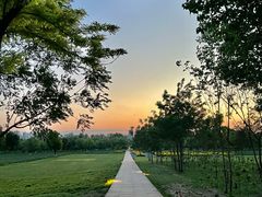 -汉长安城未央宫国家考古遗址公园