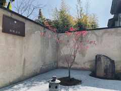 -腾冲和顺柏联酒店