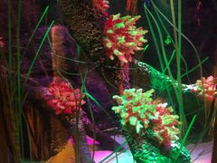 -沈阳海洋探索中心