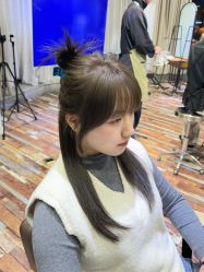 -IDOL-PLUS