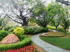-东莞植物园