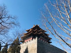 -故宫博物院(故宫)