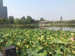 -西海子公园