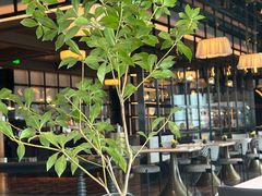 -云厨·高空西餐厅(成都瑯珀·凯悦臻选酒店)