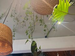 -懒人盐府人家(安贞店)