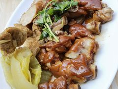隆江猪脚-猪脚洪隆江猪脚饭