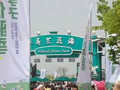 -荷兰花海