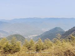 -莫干山风景区