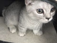 -爱侣宠医·鹦鹉专科·小型哺乳类·异宠专科(灵石路店)