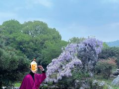 -西湖外事游船(花港观鱼码头)