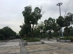 -东岳体育公园