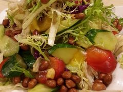 大拌菜-焯宇豆皮涮牛肚