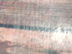 -龙虾风暴(松江店)