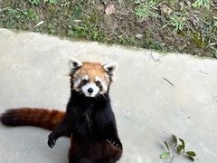 -杭州野生动物世界