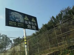 -乐和乐都主题乐园