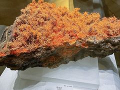 -湖南省地质博物馆