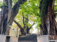-龙环葡韵住宅式博物馆