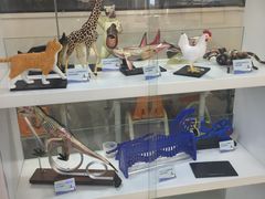 -斯坦星球AI编程·机器人科创·科学实验·信奥·思维·STEM·积木拼搭·竞赛考级(长宁虹桥大融城荟聚中心)