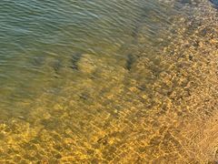 -武汉紫薇都市田园