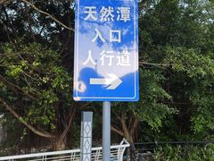 -杨梅坑