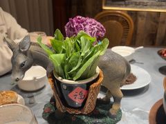 -慢丽江·云南野生菌土鸡锅(付家庄店)