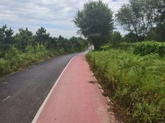 -绿堤公园