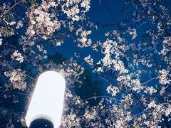 -陆家嘴中心绿地