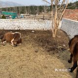 立体草莓采摘园沐恩格林四季农场