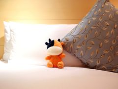 -武汉马哥孛罗酒店