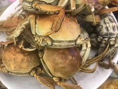 -澜悦港海鲜体验主题餐厅