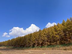 -塞罕坝国家级自然保护区