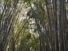 -成都杜甫草堂博物馆