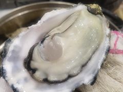 -红星渔村(将军石店)