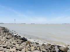 -上海吴淞炮台湾国家湿地公园