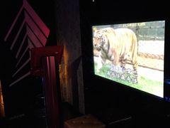 -凯乐会量贩KTV(国防大厦总店)