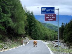 -硗碛藏寨·神木垒景区