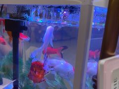 -海底捞火锅(武胜路凯德广场店)