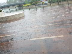 -鼎泰丰(嘉年华•海信广场VILLAGE店)