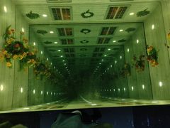 -郑州梵高星空错觉艺术馆(大上海城旗舰店)