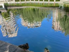 -团结湖公园