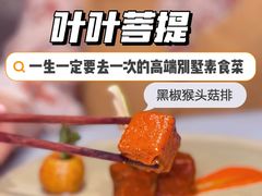 -叶叶菩提·晋福宫